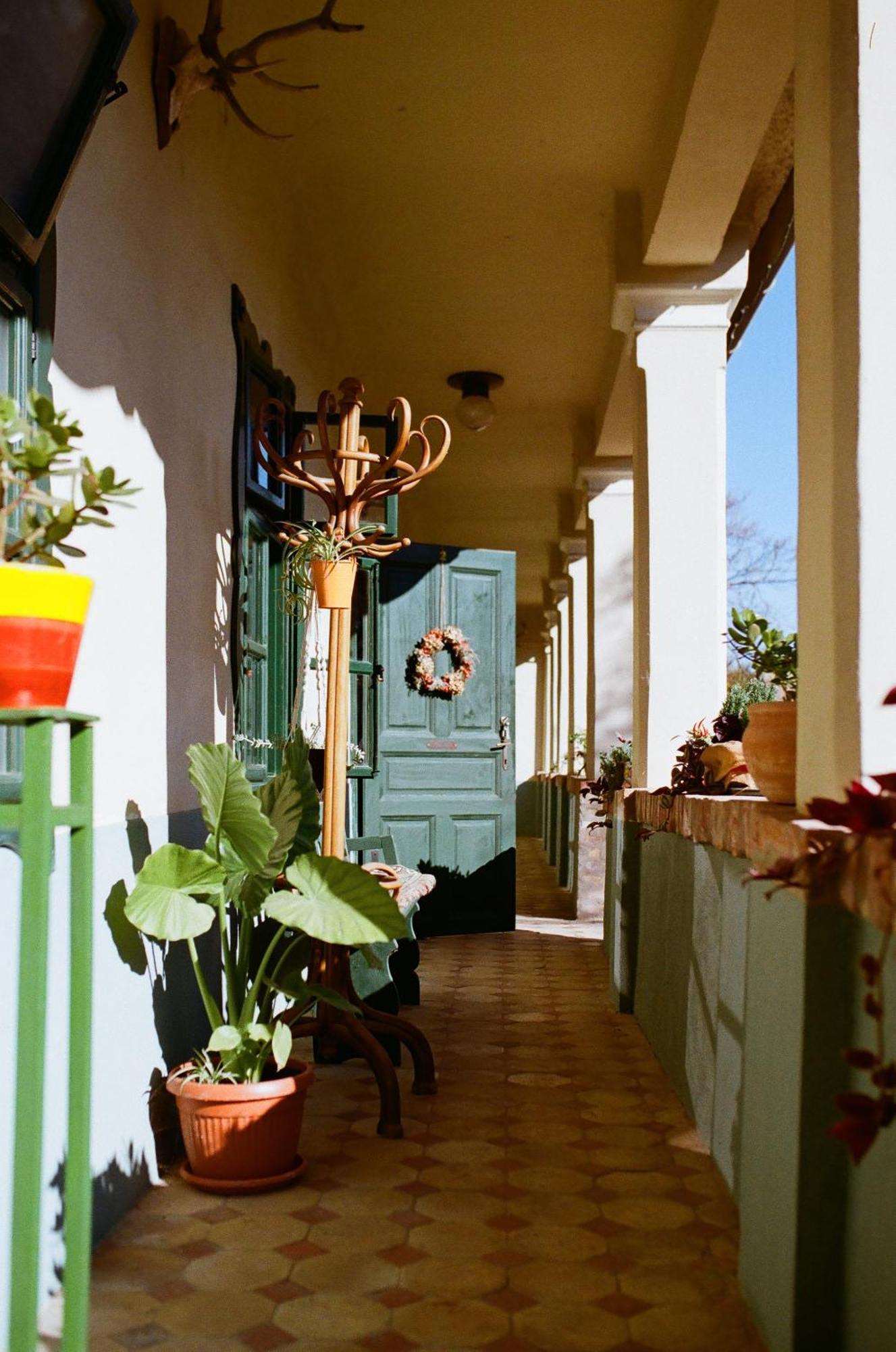 Villa Tradicionalna Kuca Biljkinog Oca Lug Exterior foto